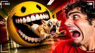 Thumbnail: VERITY TOOK OUR DOG! 😱 *CAUGHT ON CAMERA*