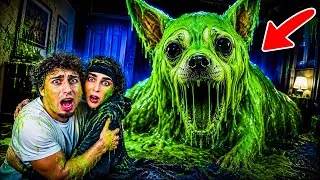 Thumbnail: OUR DOG TURNED INTO A SLIME MONSTER! 😱