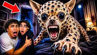 Thumbnail: IF YOUR DOG STARTS GROWING EYES… RUN! 😱