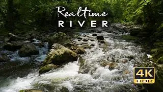 Thumbnail: 4K HDR Realtime River - Real-Time Forest River Ambience - Flowing Water Relaxation Sounds