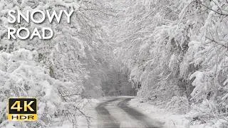 Thumbnail: 4K HDR Snowy Road – Peaceful Forest Snowfall Ambiance
