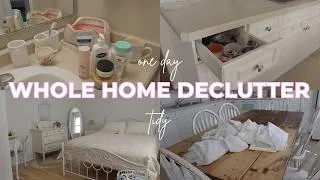 Thumbnail: Realistic entire home declutter & organize \\ overwhelmed, it's gotta go
