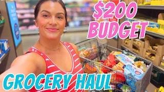 Thumbnail: HEALTHY Aldi Haul On A Budget! Come Shop With Me At Aldi! Grocery Haul for my Family of 6! 