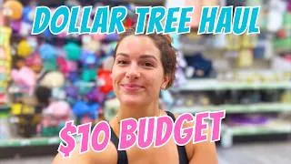 Thumbnail: I Can Only Spend $10! Dollar Tree Hunt and Haul for New Must Have Products! Dollar Tree Must Haves!