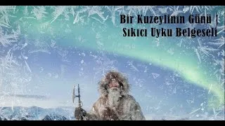 Thumbnail: Kuzeyin Sessizliği: Yalnızlık, Soğuk ve Hayat Üzerine Derin Bir Hikây |Uyku Belgeseli