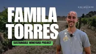 Thumbnail: Sustainable Winemaking: How Familia Torres Is Changing Vineyards - Familia Torres (Catalonia, Spain)