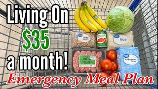 Thumbnail: I Fed Myself for $1.15 a Day This Month| Breakfast, Lunch & Dinner | Extreme Budget Meals at Walmart