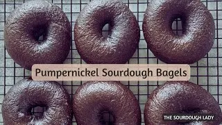 Thumbnail: Pumpernickel Sourdough Bagels - New York Style
