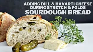Thumbnail: Adding Dill and Havarti cheese during stretch and folds for a Sourdough Loaf
