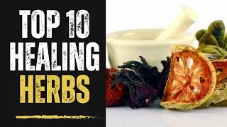 Thumbnail: Top 10 Healing Herbs for Natural Wellness