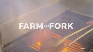 Thumbnail: Farm To Fork: Black Bar & Grill