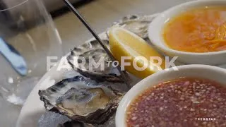 Thumbnail: Farm To Fork: Flying Fish