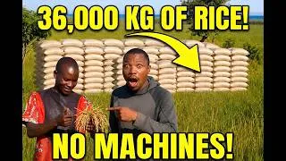 Thumbnail: How a Small  African Farm Produces 36,000 KG of Rice Every Year Without Modern Technology in Zambia
