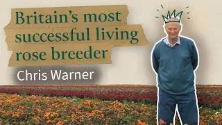 Thumbnail: Britain's most successful living rose breeder