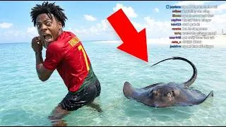 Thumbnail: INSANE Moments of iShowSpeed's Caribbean Tour
