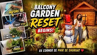 Thumbnail:     Finally! Balcony Garden Ko Phir Se Theek Karna Shuru Kiya 🌿 | Garden Reset Begins