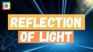 Thumbnail: REFLECTION OF LIGHT | SCIENCE |The Study Pod