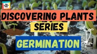 Thumbnail: GERMINATION | DISCOVERING PLANTS SERIES | Part 6 | Science |The Study Pod