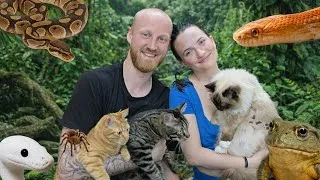 Thumbnail: Welcome to The Swedish Animal Family!