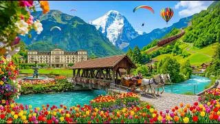 Thumbnail: Interlaken Switzerland 🇨🇭 || The Most Visited Alpine Town in Switzerland