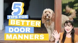 Thumbnail: Stop Your Dog from Jumping and Running Out the Door | 5 Tips for Better Door Manners