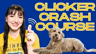 Thumbnail: Professional Dog Trainer Explains Clicker Training | Clicker Crash Course