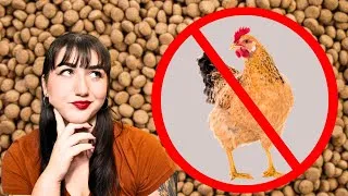Thumbnail: Why Your Dog is Allergic to Chicken (And How to Fix It)