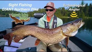 Thumbnail: Monster Pike at Hawk Lake Lodge | Northern Pike Fishing | The Technological Angler