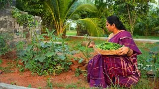 Thumbnail: I made DAHI BHINDI for lunch, Crispy Ladies Finger/Okra Chips for eve snack | The Traditional Life