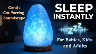 Thumbnail: CAT PURRING + Soft Glowing Blue Light l Over 11 Hours of Pet Sounds for Sleep