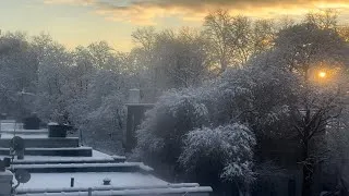Thumbnail: SNOW