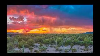 Thumbnail: Sonoran Rivers: A Celebration of Desert Water