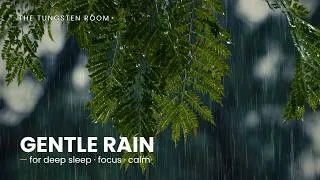 Thumbnail: 10 Hour | Soft & Gentle Rain Ambience · Zero Ads · Perfect for Deep Sleep & Anxiety Relief