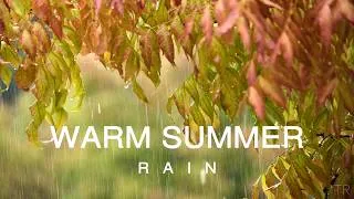 Thumbnail: 10 Hour | Rain in the Forest | Cozy Warm Rain for Studying & Sleep
