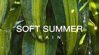 Thumbnail: 10 Hour | Summer Rain Sounds | Sleep Ambience · Focus · Stress Relief
