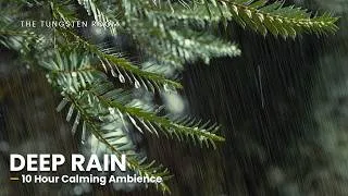 Thumbnail: 10 Hour | Lush Forest Rain on Leaves – Fall Asleep Fast, Block Noise, Pure Relaxation