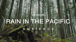 Thumbnail: 10 Hour | Pacific NorthWest Rain Meditation · Calming Rain Sounds for Healing · Insomnia · Focus