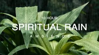 Thumbnail: 10 Hour | Gentle Rain Sounds for Deep Spiritual Meditation · Healing · Insomnia · Focus