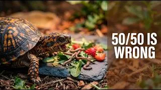 Thumbnail: The 50/50 Box Turtle Diet Rule Is Wrong (Feed This Instead)