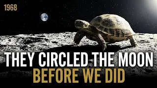 Thumbnail: Two Tortoises Flew Around the Moon Before Any Human Did