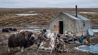 Thumbnail: How Arctic Tribes Survive in The Coldest Place on Earth | Yakutia Russia Far From Civilization