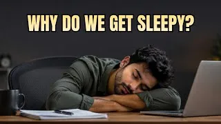 Thumbnail: Breakthrough Discovery: Why Do We Get Sleepy? #science #neuroscience #viralvideo 