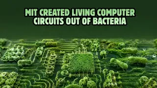 Thumbnail: MIT Created Living Computer Circuits Out of Bacteria #computer #technology #viralvideo 