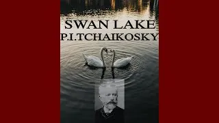 Thumbnail: Classical Ensemble - Swan Lake - P. I. Tchaikovsky