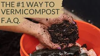 Thumbnail: The Vermicomposting Questions Everyone Is Asking