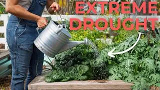 Thumbnail: Here's What To Grow
