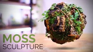 Thumbnail: I Built a Floating 🌍 Terrascape (Moss Sculpture Terrarium)
