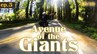 Thumbnail: Day 5 | The Best ROAD I've EVER Ridden! (Ave Of The Giants) The Great American Coastline 🇨🇦🇺🇸🇲🇽