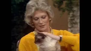 Thumbnail: Dusty Springfield's Ragdoll Cat!