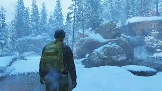 Thumbnail: Ambient Winter Locations ❄️ The Last of Us Part 2